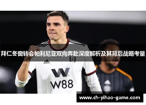拜仁冬窗转会帕利尼亚双向奔赴深度解析及其背后战略考量